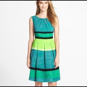 Adrianna Papell Fit and Flare Dress